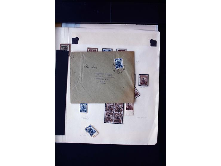 1920, 10 - 30 r. and 2 r., unused and used collection containing Mi.-No. 10 - 30 as pair imperforated between, also offsets, 