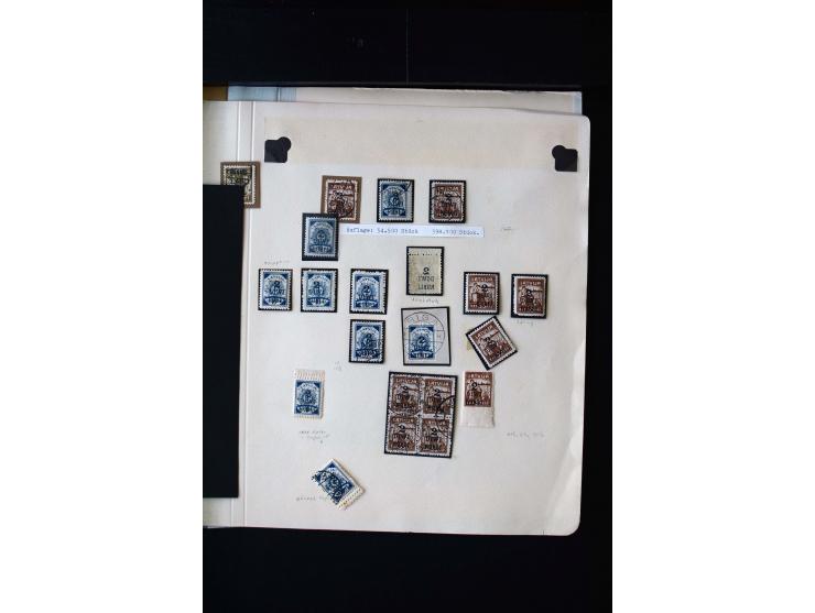1920, 10 - 30 r. and 2 r., unused and used collection containing Mi.-No. 10 - 30 as pair imperforated between, also offsets, 