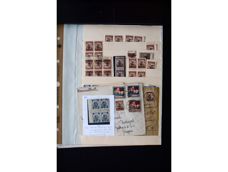 1920, 10 - 30 r. and 2 r., unused and used collection containing Mi.-No. 10 - 30 as pair imperforated between, also offsets, 