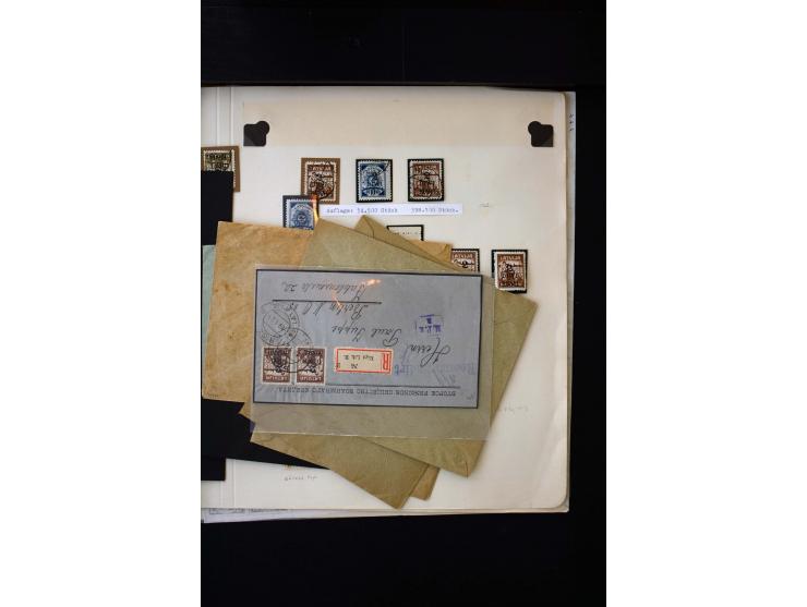 1920, 10 - 30 r. and 2 r., unused and used collection containing Mi.-No. 10 - 30 as pair imperforated between, also offsets, 