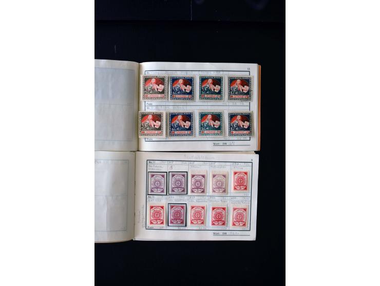 1919/29, unused und used lot with many plate flaws, offsets and perforation varieties, fine