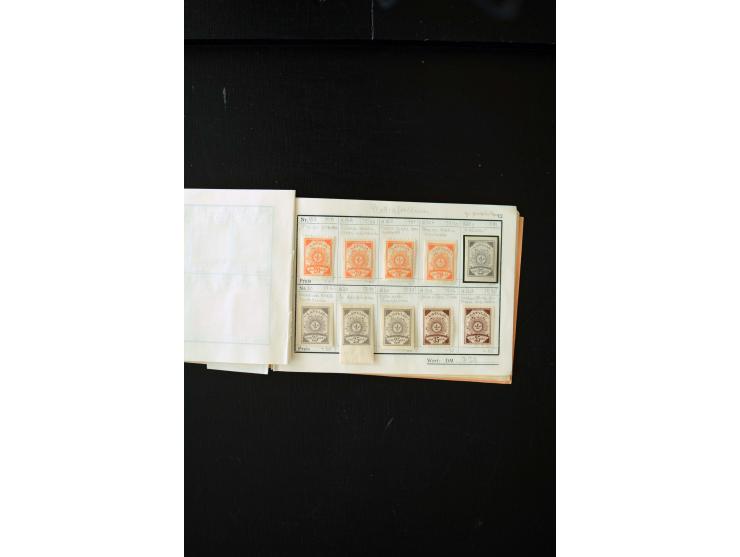1919/29, unused und used lot with many plate flaws, offsets and perforation varieties, fine