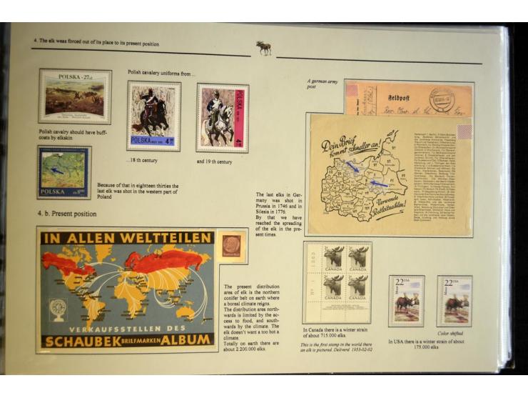 ELCHE: 1803/2002, sehr interessante umfangreiche Ausstellungssammlung, national mit Gold ausgezeichnet, aufgezogen auf 40 Sei