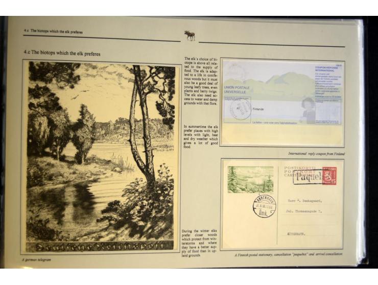 ELCHE: 1803/2002, sehr interessante umfangreiche Ausstellungssammlung, national mit Gold ausgezeichnet, aufgezogen auf 40 Sei