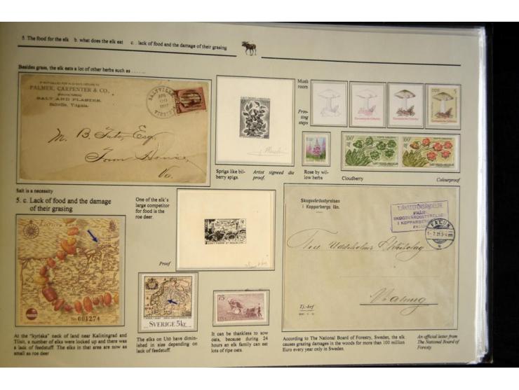 ELCHE: 1803/2002, sehr interessante umfangreiche Ausstellungssammlung, national mit Gold ausgezeichnet, aufgezogen auf 40 Sei