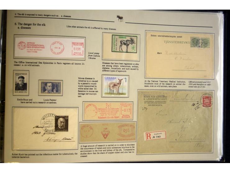 ELCHE: 1803/2002, sehr interessante umfangreiche Ausstellungssammlung, national mit Gold ausgezeichnet, aufgezogen auf 40 Sei
