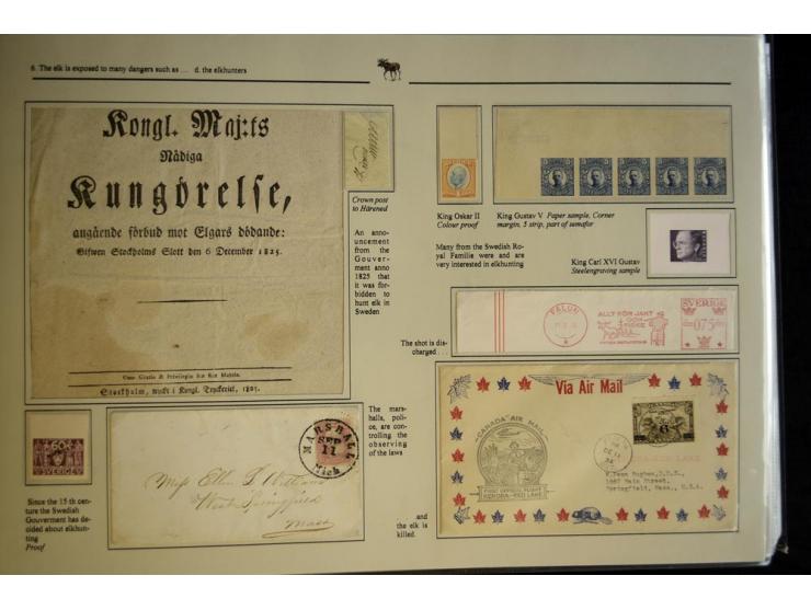 ELCHE: 1803/2002, sehr interessante umfangreiche Ausstellungssammlung, national mit Gold ausgezeichnet, aufgezogen auf 40 Sei