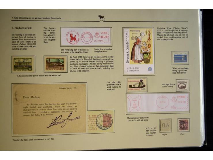 ELCHE: 1803/2002, sehr interessante umfangreiche Ausstellungssammlung, national mit Gold ausgezeichnet, aufgezogen auf 40 Sei