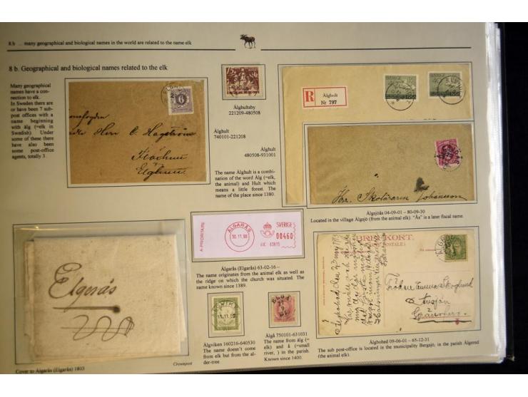 ELCHE: 1803/2002, sehr interessante umfangreiche Ausstellungssammlung, national mit Gold ausgezeichnet, aufgezogen auf 40 Sei
