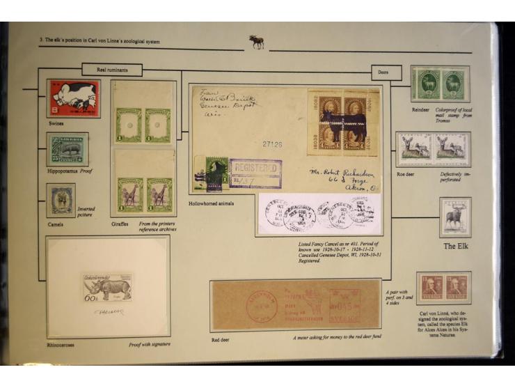 ELCHE: 1803/2002, sehr interessante umfangreiche Ausstellungssammlung, national mit Gold ausgezeichnet, aufgezogen auf 40 Sei