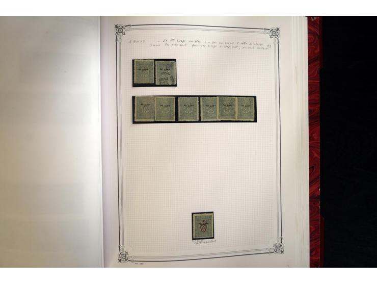 1865/1920, collection in two large Yvert-albums, very specialized with types and perfs, early issues incl. tête-bêche prints,