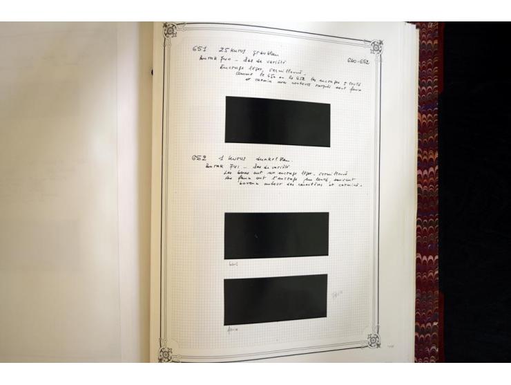 1865/1920, collection in two large Yvert-albums, very specialized with types and perfs, early issues incl. tête-bêche prints,