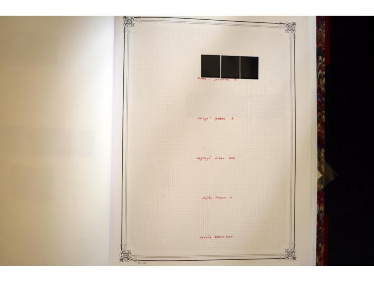 1865/1920,  Stempelsammlung nach Spezialkatalog Brand-Ceylan im Yvert-Album. Über 1500 sehr saubere klare Stempel meist auf M