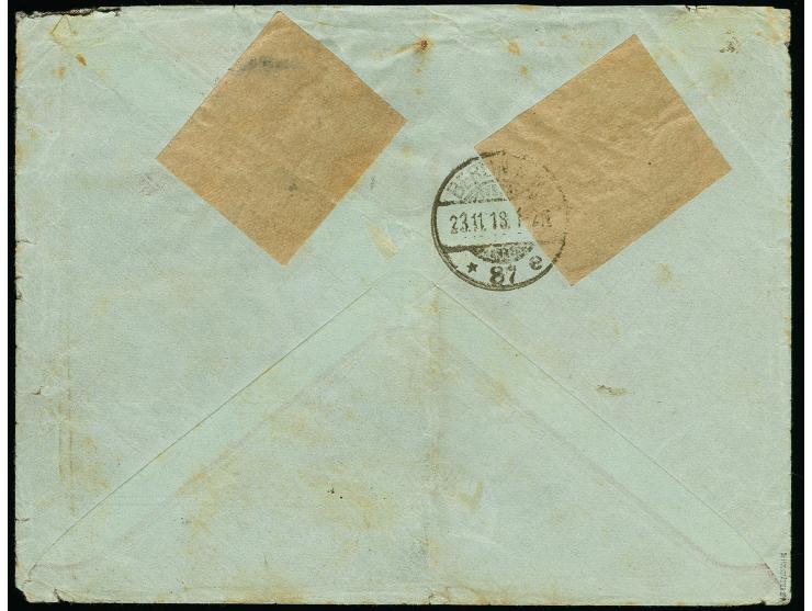 1918, Gebührenzettel 60 K. mit Zufrankatur senkrechtes Paar Germania 10 Pfg. mit violettem Stempel "BORISSOW 14.11.18" auf Fi