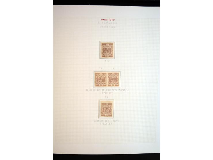 1918/19, Blumenmuster, sehr interesssante Spezialsammlung Mi.-Nr. 1-4 in 3 Bänden, aus dem Nachlass von Votele Org, dem Autor
