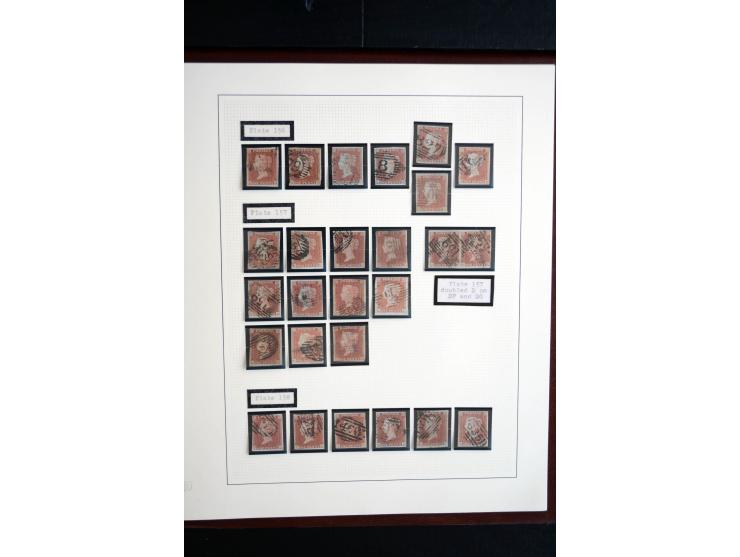 1841/51, Victoria 1 P. geschnitten, spezialisierte 2bändige, fast ausschließlich gestempelte Sammlung (ein ungebrauchter 6er-