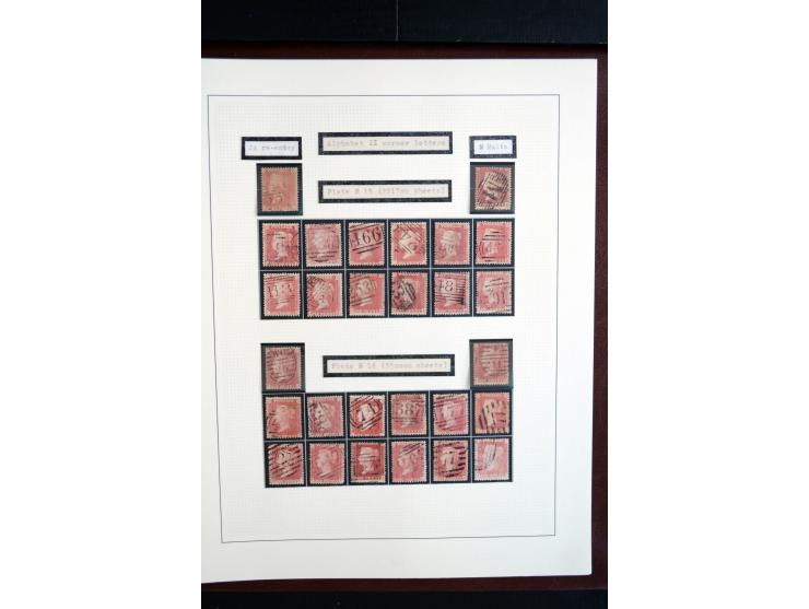 1854/70, Victoria ' line engraved ', sehr spezialisierte Sammlung, nach Platten gesammelt, mit vielen Einheiten und Briefen, 