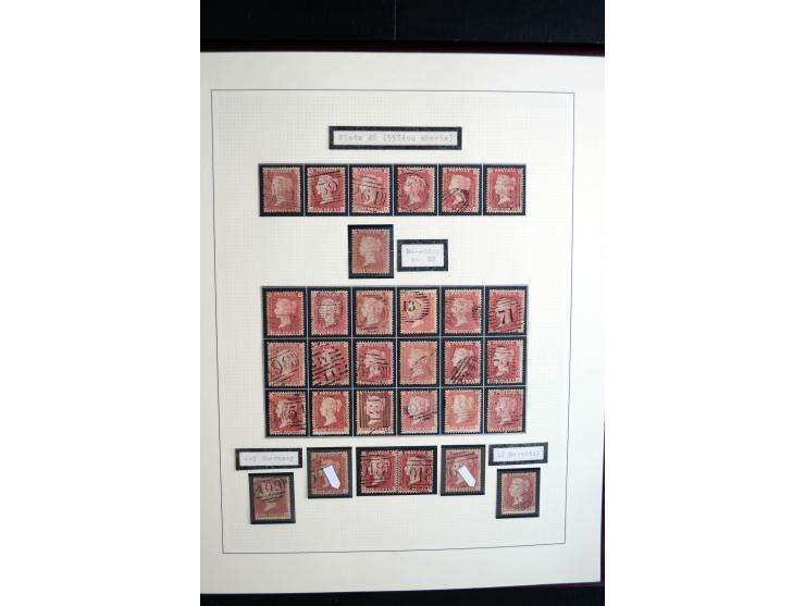 1854/70, Victoria ' line engraved ', sehr spezialisierte Sammlung, nach Platten gesammelt, mit vielen Einheiten und Briefen, 