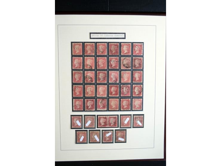 1854/70, Victoria ' line engraved ', sehr spezialisierte Sammlung, nach Platten gesammelt, mit vielen Einheiten und Briefen, 