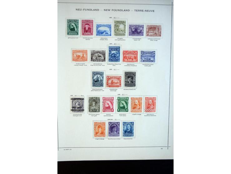 1851/1913 (ca.), ungebrauchte und gestempelte Sammlung mit u.a. Canada 38-53, dazu etwas Cayman-Inseln