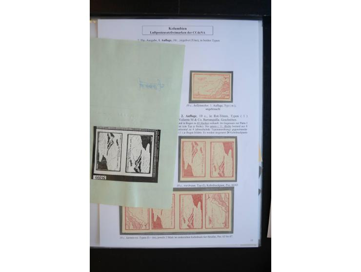 1920/29, hochinteressante ungebrauchte und gestempelte Sammlung, dabei u.a. CCNA "Multi-colores" Mi.-Nr. 3 auf Briefstück, 3 