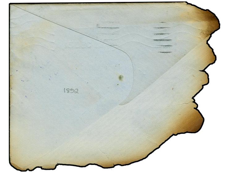 "SALVED FROM / FIRE GPO DUBLIN" in violet, clear marking on large part of envelope from Cork to Newtown