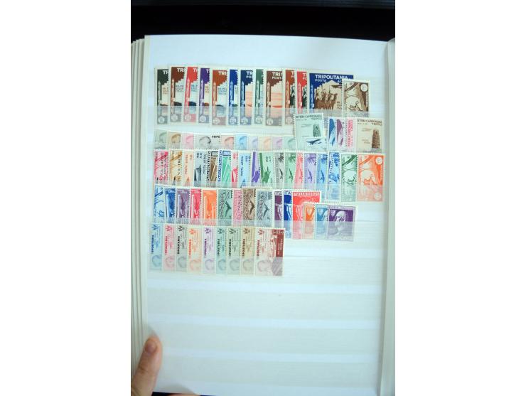 1890/1958, sehr hochwertige, meist ungebrauchte/postfrische Partie ab Argentien mit fast auschließlich besseren und hochwerti