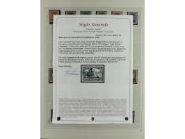 1914/18, postfrische und ungebrauchte Sammlung, dabei viele Farben und Aufdruckvariante wie z.B. Belgien Mi.-Nr. 16bII, 24IB,