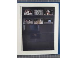 1969/2019, MNH collection of stamps and souvenir/mini/de luxe sheets in seven binders, comprising a wide range of attractive 