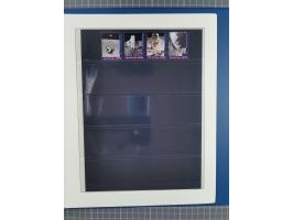 1969/2019, MNH collection of stamps and souvenir/mini/de luxe sheets in seven binders, comprising a wide range of attractive 