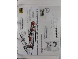 HUNDE: 1894/1992 (ca.), interessante Ausstellungssammlung “Schlittenhunde im Einsatz”, mit vielen Marken, FDCs, Schmuckbriefe