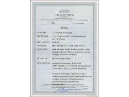 1920, 50 pf auf 35 C. (dunkel)rotviolett im waagerechten Paar mit Stempel “HEYDEKRUG **b 25.10.20” auf etwas überfrankiertem 