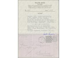 Umschlag 2 Sch. mit Zufrankatur ½ Sch., mit blauem Strichstempel und nebengesetztem Mecklenburger DKr. "HAMBURG 29/9" nach Pa