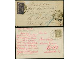 Polish-Soviet War: Sejm 1m. and Coat of arms 25f., tied by cds. “MINSK LITEWSKI” to cover resp. card, addressed to Brooklyn, 