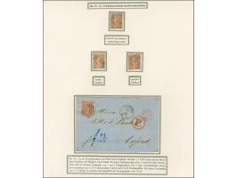 5 Ngr., Farbstudie auf 4 Ausstellungsseiten mit 15 gebrauchten Einzelwerten, gebrauchtem Paar, ungebrauchtem Viererblock und 