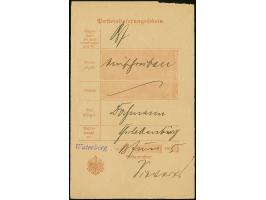 1905, “Waterberg” violetter L1 auf Posteinlieferungsschein für eine R-Briefsendung. Das Formular ist waagerecht gefaltet, ans