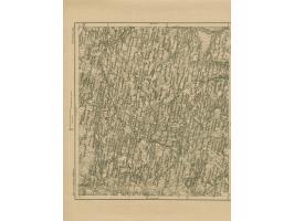 1919, Ear of corn 10 kopek red, imperforated, complete sheet on map R18 Rakischki, mint never hinged, fine