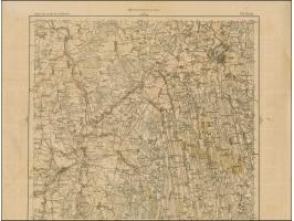 1919, Ear of corn 10 kopek red, imperforated, complete sheet on map P17 Birzie, mint never hinged, folded twice horizontally,