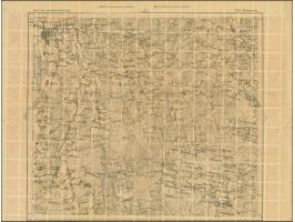 1919, Ear of corn 10 kopek red, perforated, complete sheet on map P19 Poniewiez, mint never hinged, some perf separations, ot