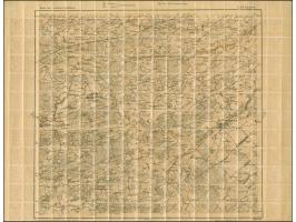 1919, Ear of corn 10 kopek red, perforated, complete sheet on map M16 Zagony, mint never hinged, some perf separations, other