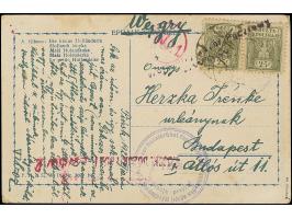 1920, field postcard from the camp for returning Hungarian prisoners of war in Pinsk with violet cachet “tacja przyjęć powrac