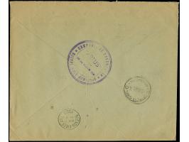 “D. TIRPITZ” violetter L1 als Entwertert, mehrfach auf Firmenvordruck-Brief “Braue &amp; Co.” auf zwei Einzelmarken Ziffer 50