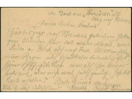 Ganzsachenkarte 20 Pa. a. 5 Kr. mit alleiniger Entwertung durch Ra3 “PIROSCAFI POSTALI ITALIANI” bedarfsgebraucht nach Basel 