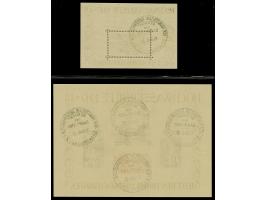 Hochwasser-Blockpaar mit Sonderstempel "DER FRANZÖSISCHE AUSSENMINISTER BESUCHT DAS SAARLAND 15. 12. 48." Tadellos. Fotoattes