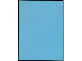 1. AUSGABE: Kapt. S. Shramchenko 1,30 Zloty schwarz auf hellblau, ungebraucht, tadellos (Maksymczuk #18a)