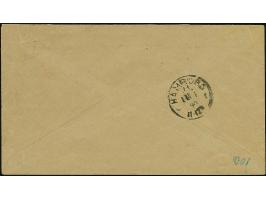 1889, Krone/Adler 10 Pfg. rosarot (leuchtend karmin quarzend) im senkrechten Paar mit Rahmenstempel “AUS WESTAFRIKA” auf Vord