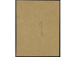 1941, Hindenburg 20 Kopeken auf 1 Pfennig schwarz, schwarzer Handstempelaufdruck, sauber mit Stempel “PSKOV -3.12.41” auf Bri