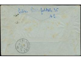 1919, Aufdrucktype I: Germania 15 Pfennig schwarzviolett, senkrechtes Paar zusammen mit Deutsches Reich Germania 10 Pfennig r