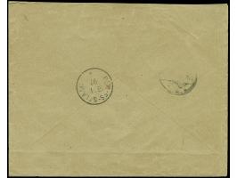 1893, waagerechter Aufdruck, 10 P. im senkrechten Paar auf R-Brief von "LANGENBURG 19/11 96" nach Niesky, mit Transit- und An