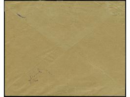 Privat-Briefbeförderung: 1893, 2 Pfg. orangebraun mit violettem DKr. “HANAUER PRIVAT-BRIEF-VERKEHR 6-DEC.1894” auf Vordruckbr